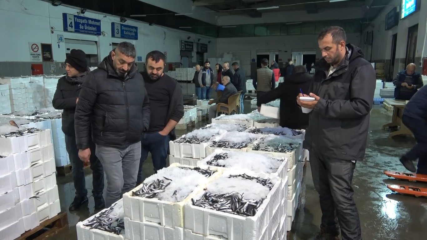 Balık mezadında kasalar dolusu hamsi kapış kapış satıldı
