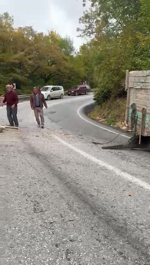 Freni boşalan odun yüklü traktör devrildi: 2 yaralı
