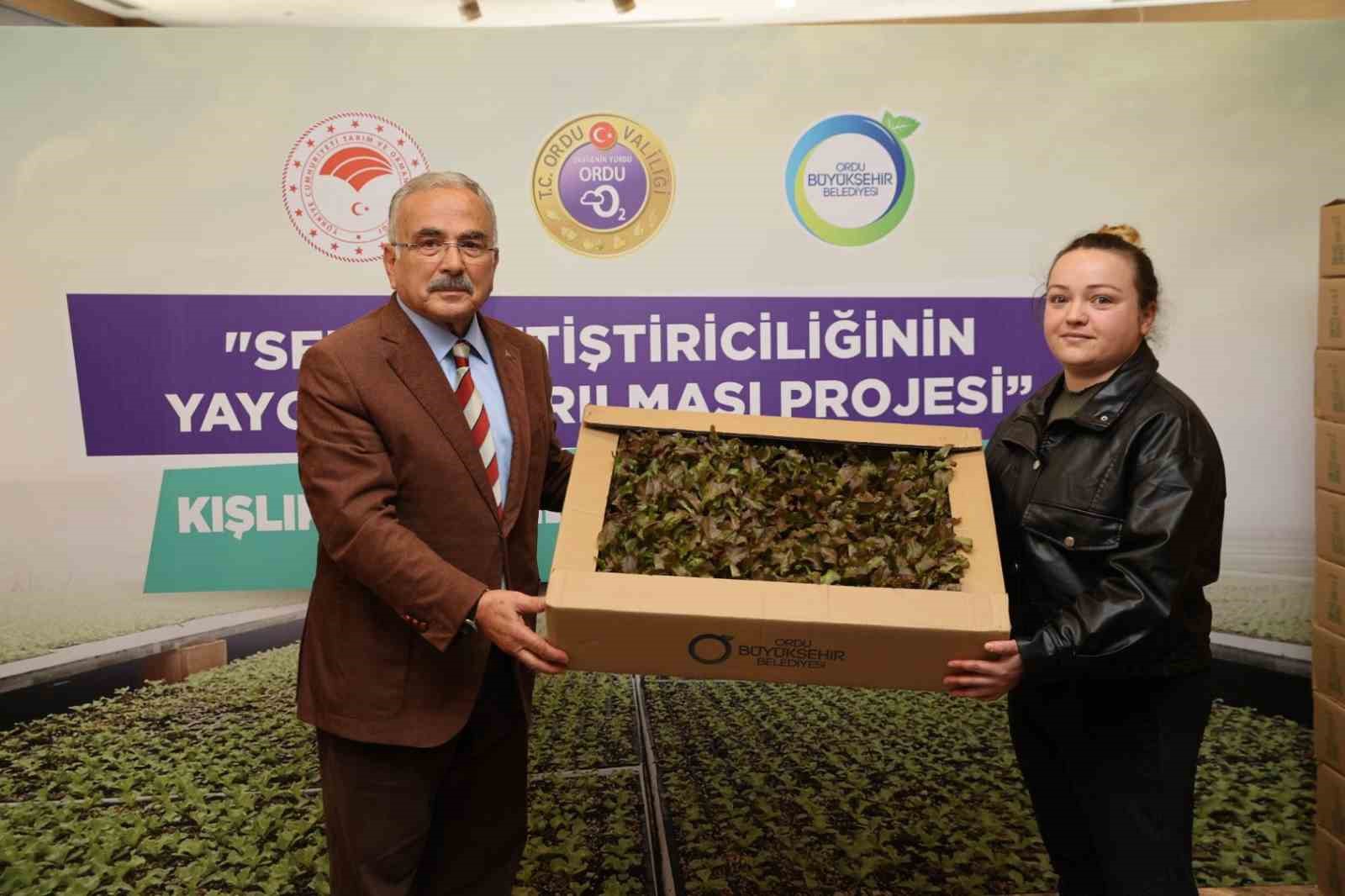 Ordu’da 4,5 yılda 3 milyon sebze fidesi vatandaşlara dağıtıldı