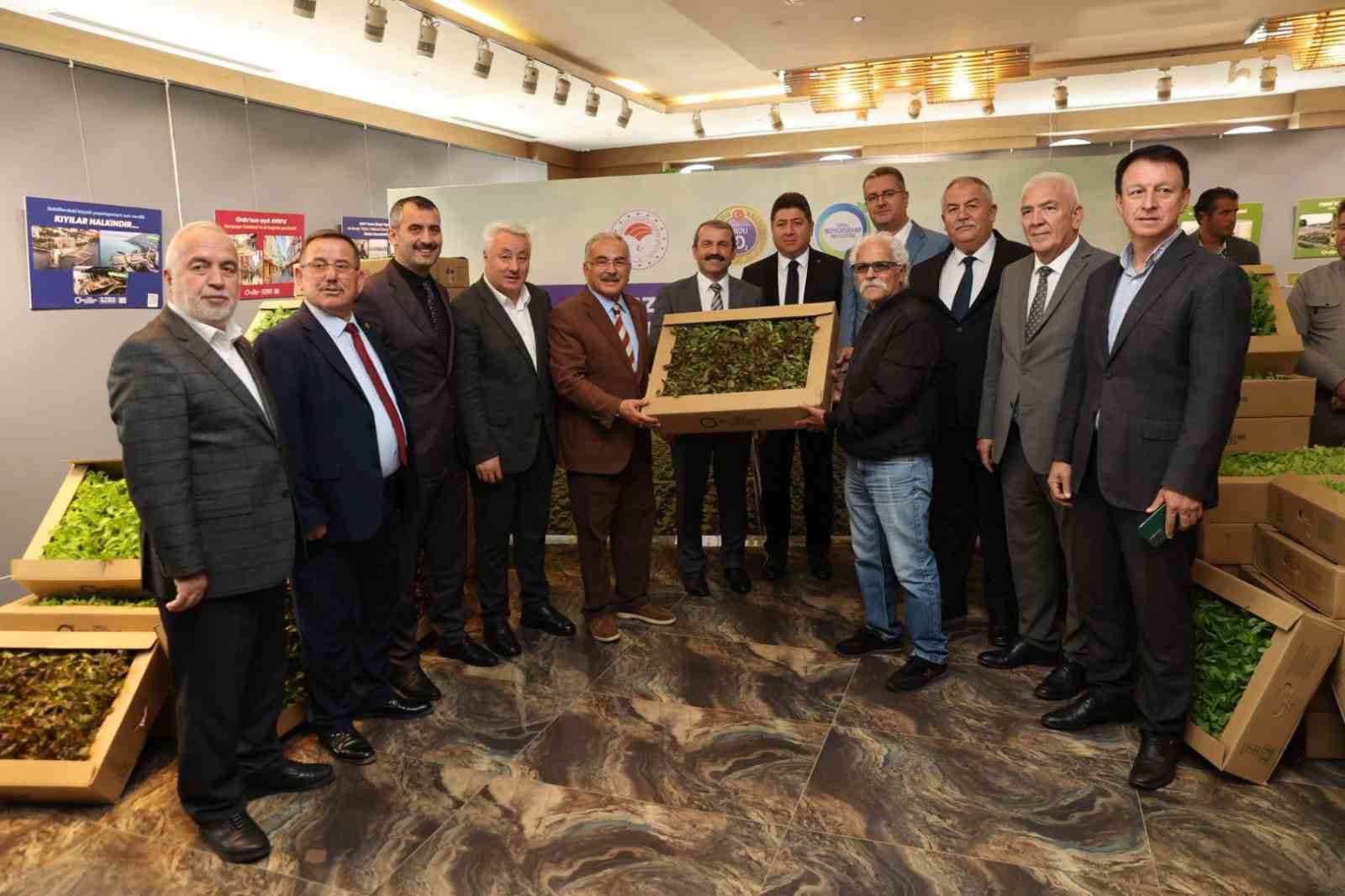 Ordu&rsquo;da 4,5 yılda 3 milyon sebze fidesi vatandaşlara dağıtıldı
