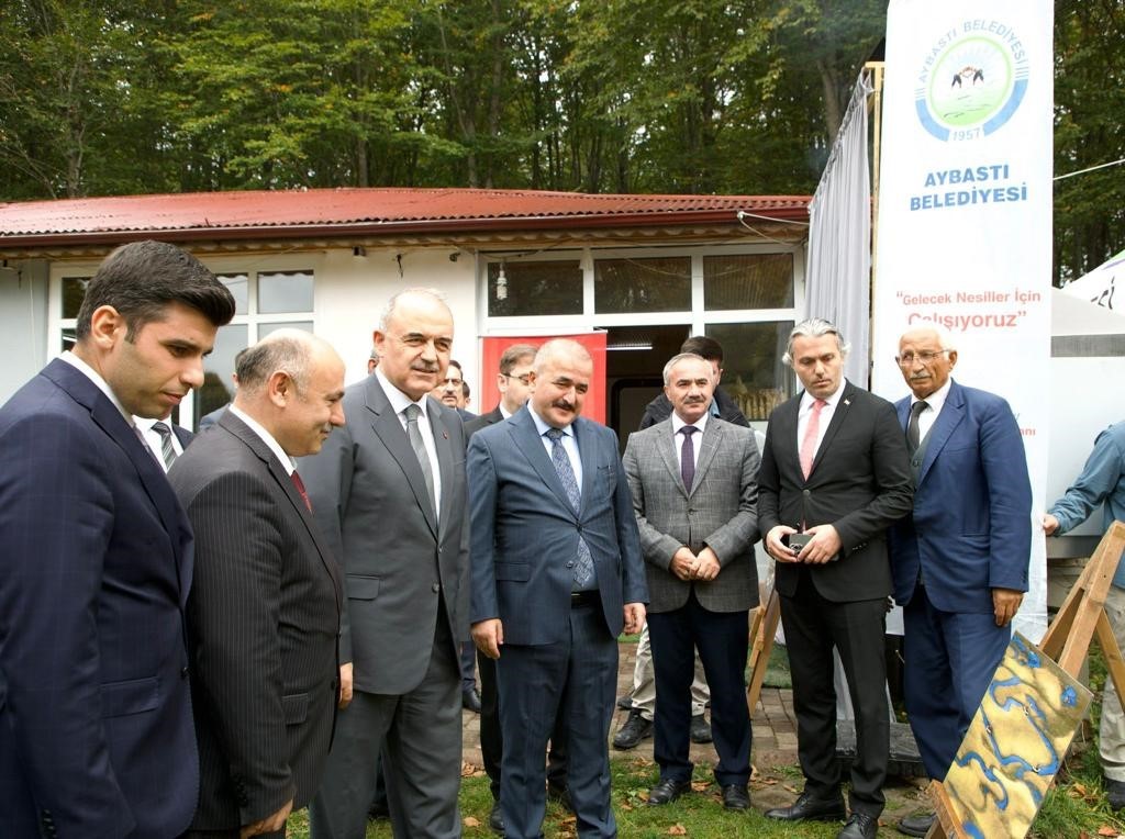 Ordu-Tokat ittifakı
