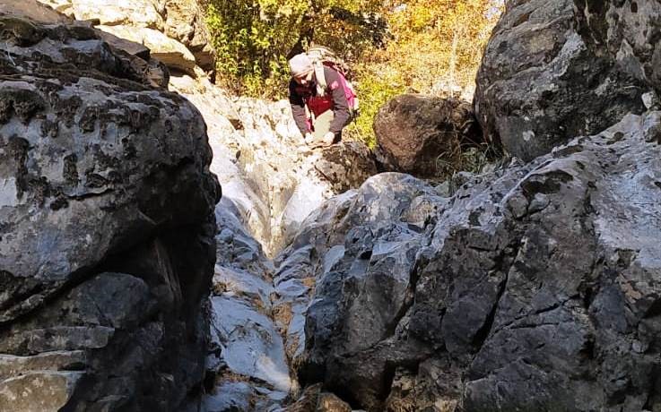 Domaniç’te kaybolan yaşlı adam için arama çalışması