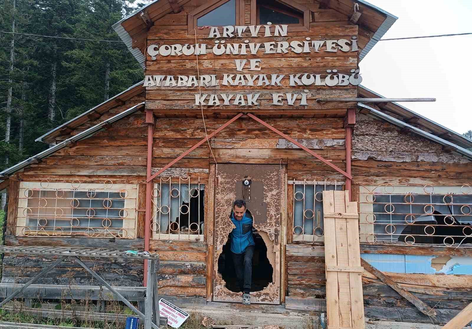 Doğu Karadeniz Bölgesinde artan ayı saldırılarına karşı uzmanlardan öneriler
