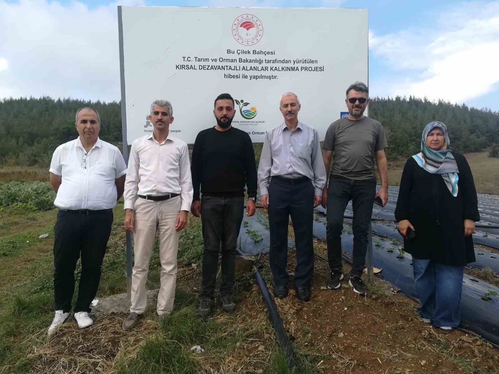 Osmaniye’de 2,5 dönüm alana devlet desteğiyle çilek bahçesi kurdu
