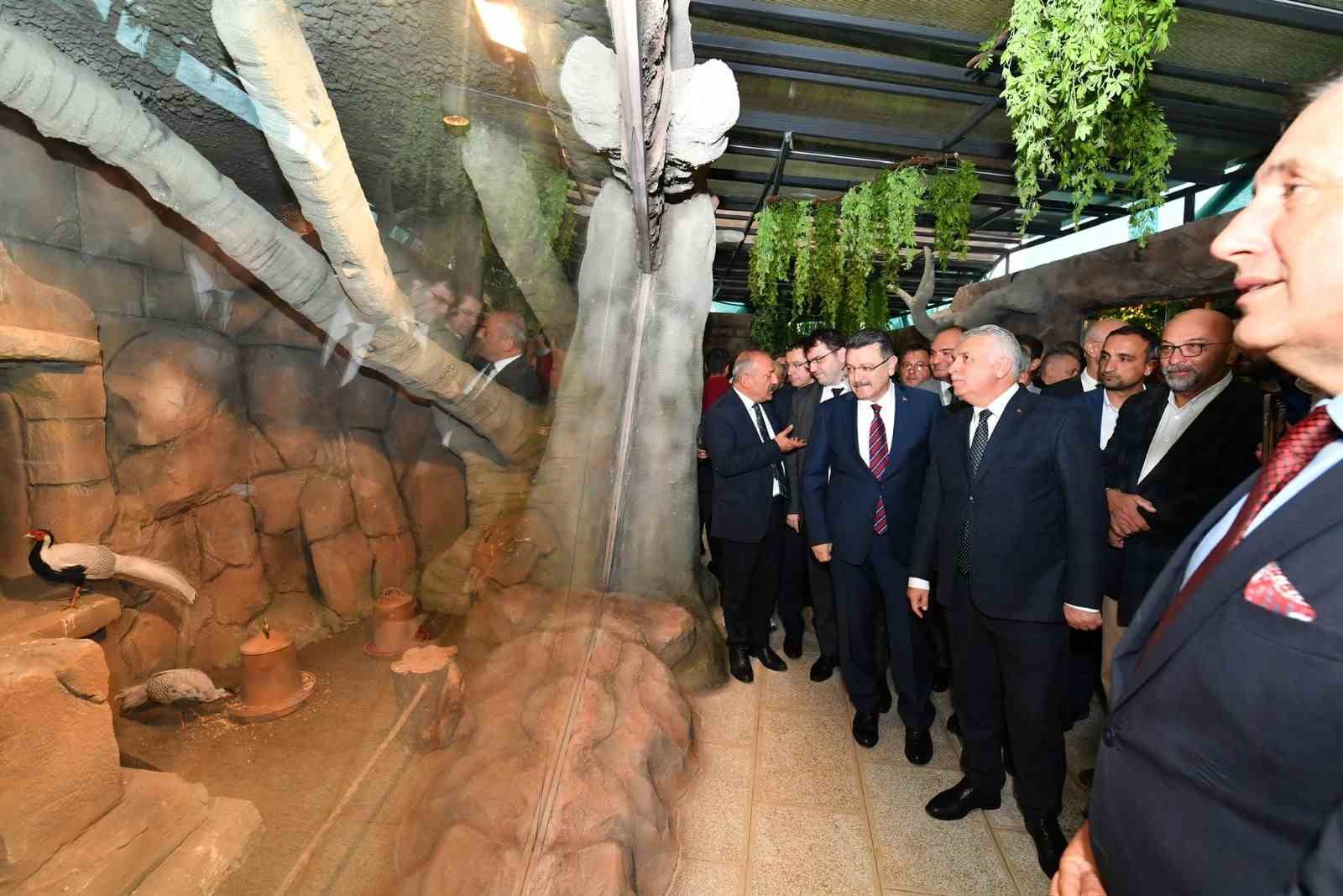 Trabzon Kuş Parkı&rsquo;nda yok yok
