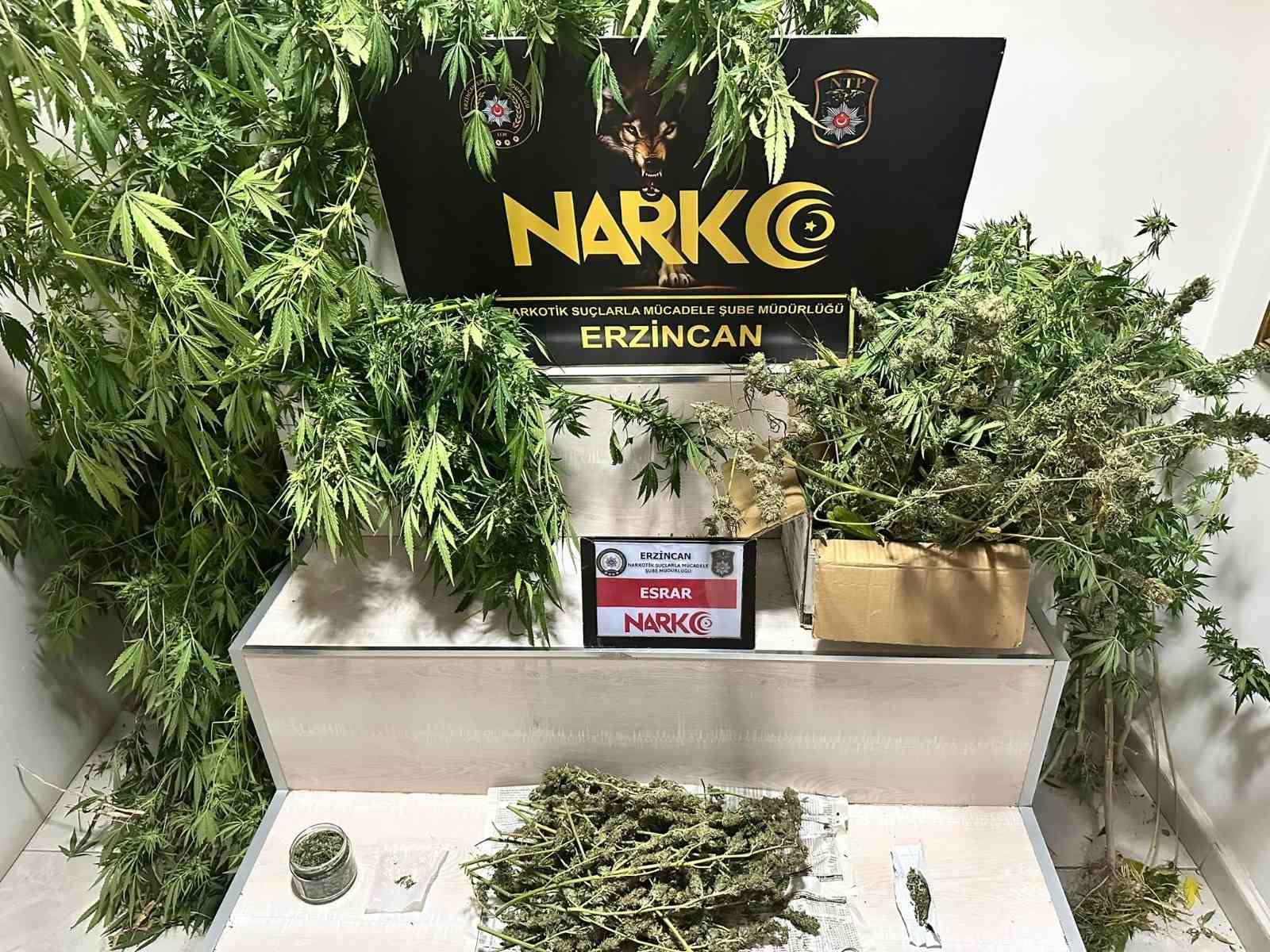 Erzincan’da 1.285 gram esrar ve 11 kök kenevir ele geçirildi