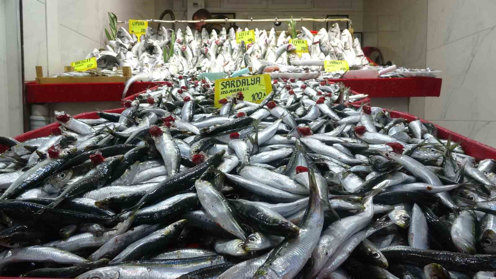 Denizlerin prensi &rsquo;l&uuml;fer&rsquo; yarı yarıya ucuzladı
