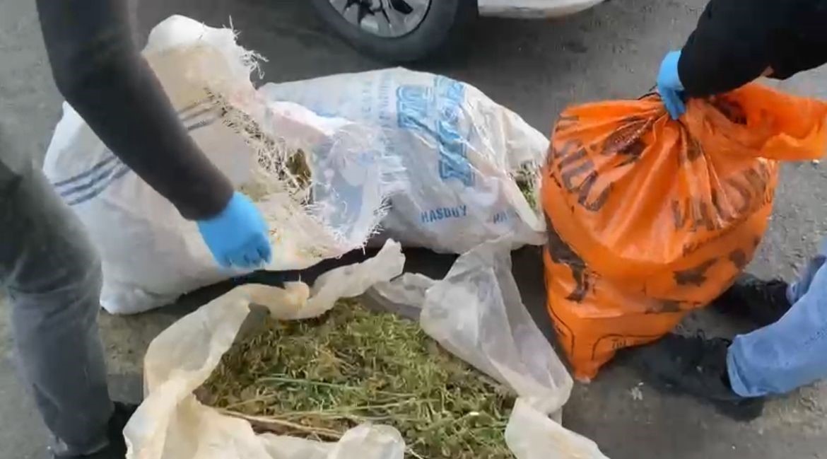 Diyarbakır’da 303 kilo skunk ele geçirildi