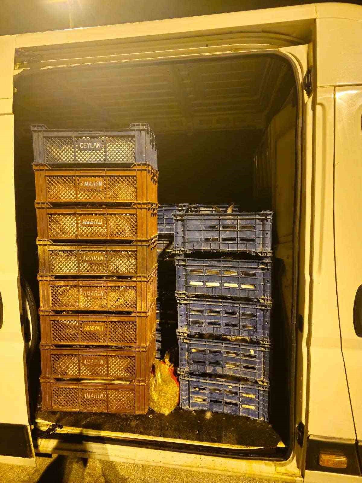 Jandarmanın durdurduğu ara&ccedil;ta nakil belgesiz taşınan tavşan &ccedil;ıktı
