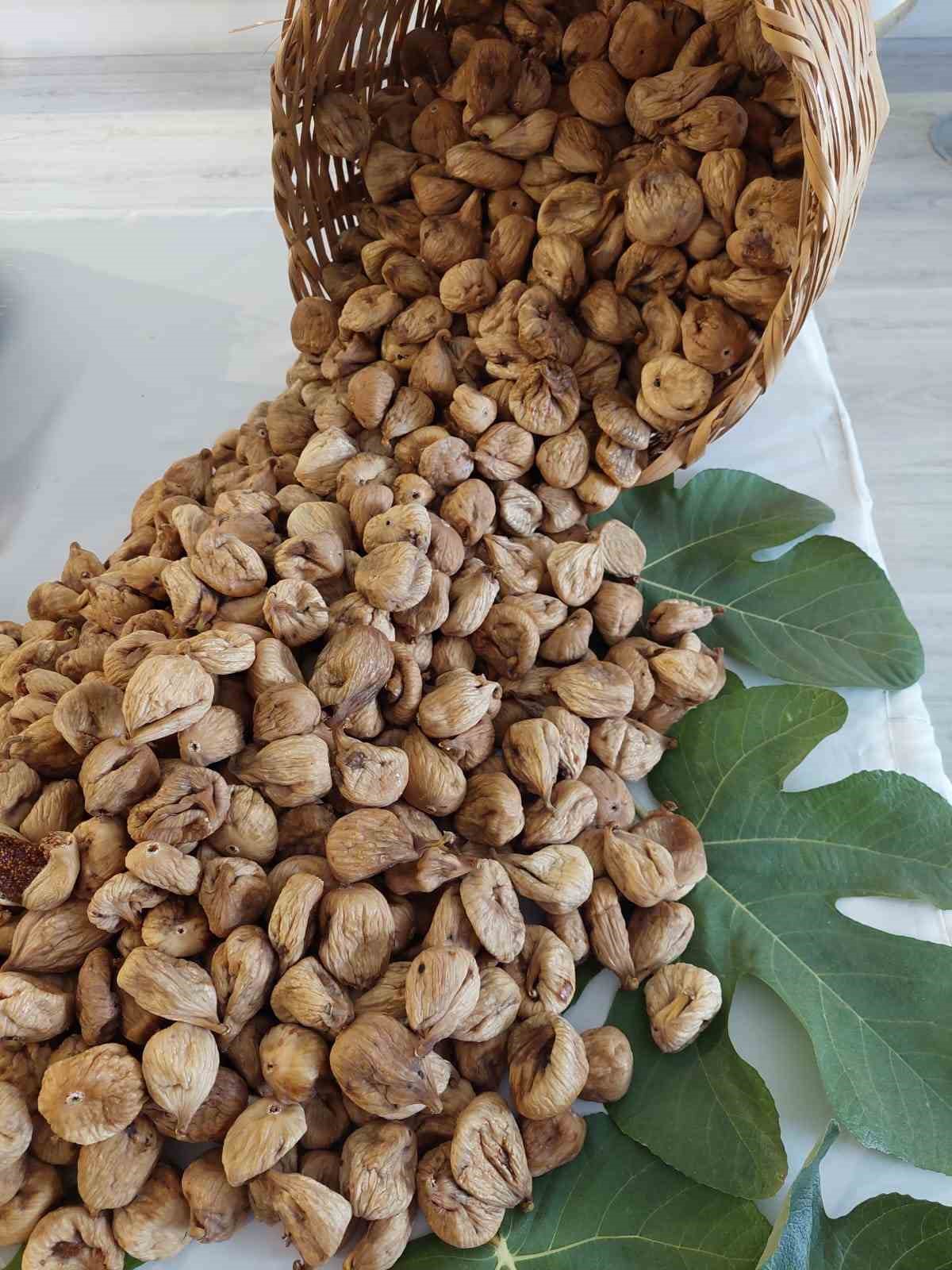 Kuru incir ihracatı 260 milyon dolar oldu
