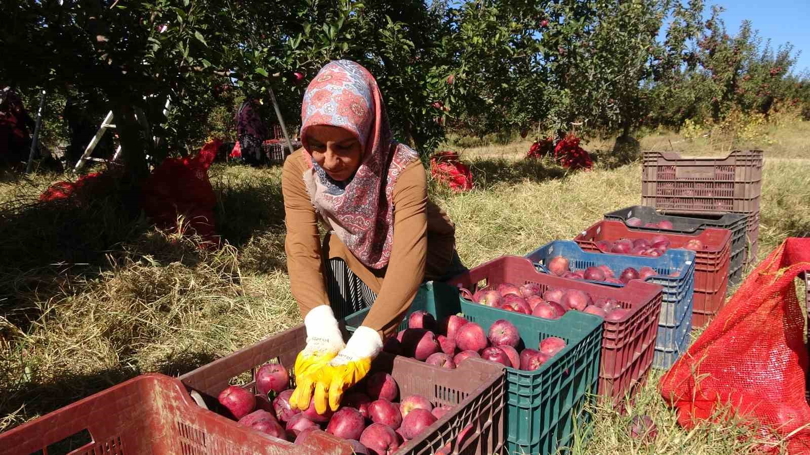 Köyde hayata geçen proje göçü tersine çevirdi