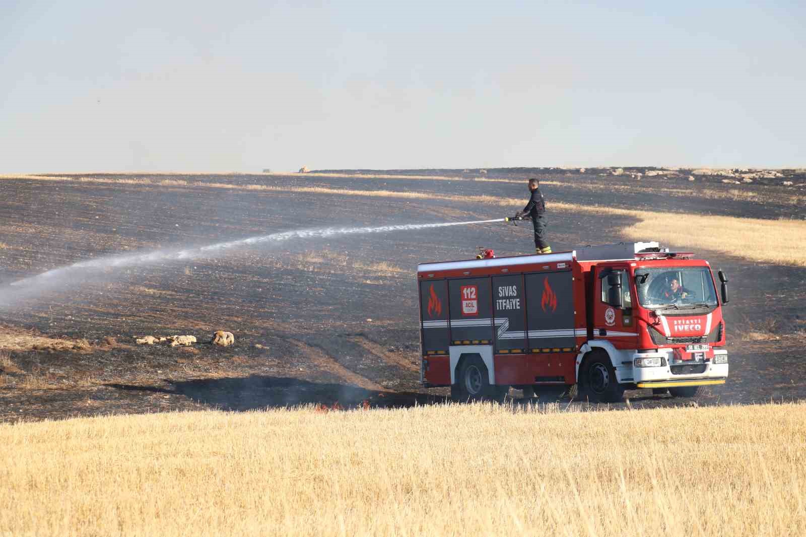 Sivas’ta çıkan anız yangını korkuttu