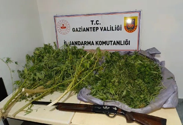 Gaziantep’te 6 kilo esrar ele geçirildi