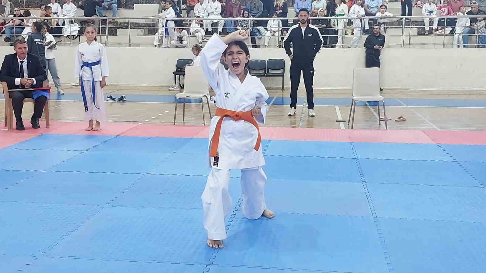 Diyarbakır’da Amatör Spor Haftası karate ile devam ediyor