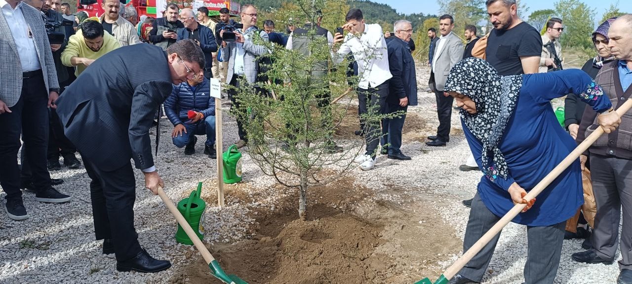 Patlamada şehit olan 43 madenci hatıra ormanında yaşatılacak