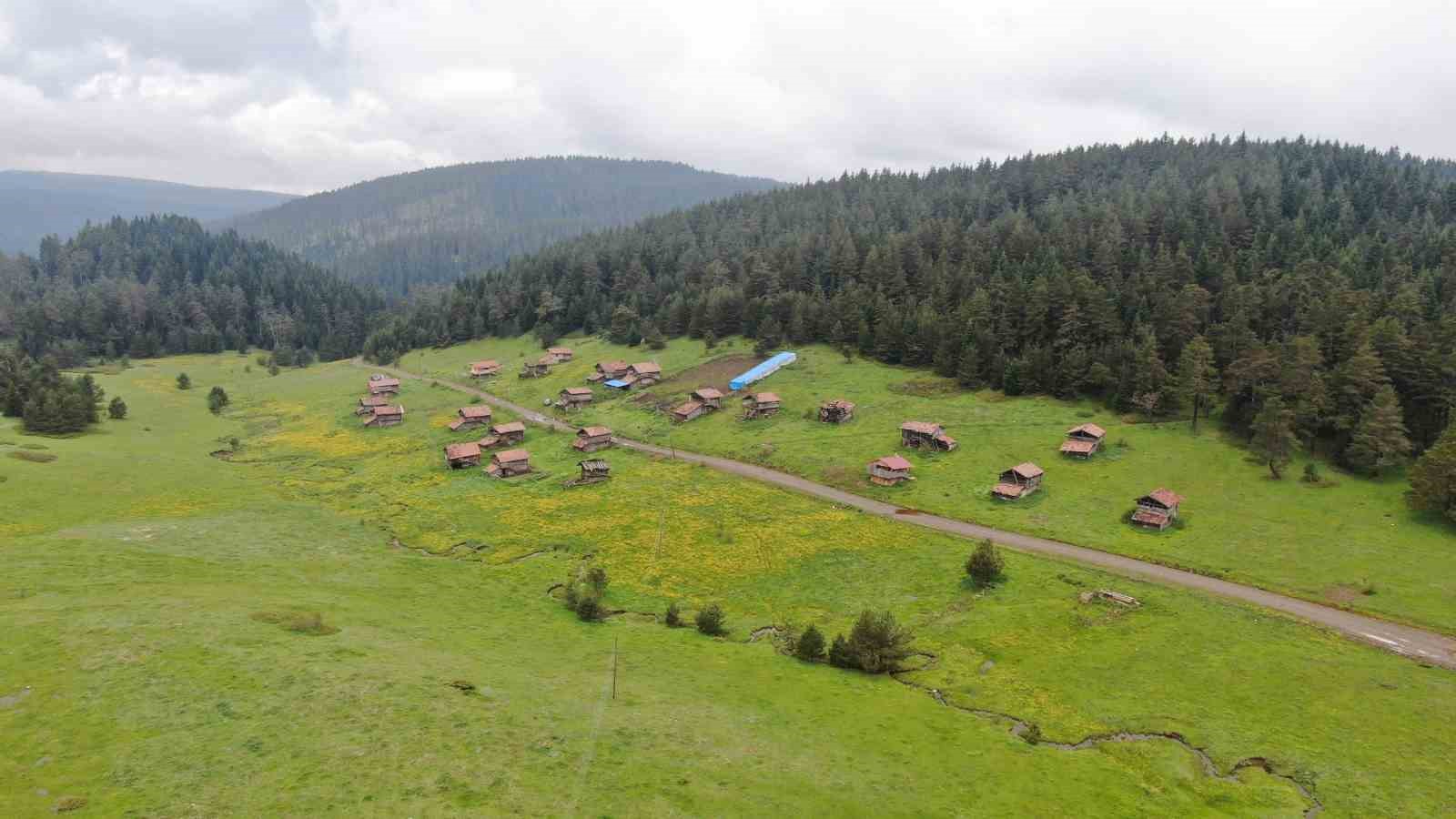 Kastamonu’da Osmanlı Dönemine ait kale ilgi bekliyor