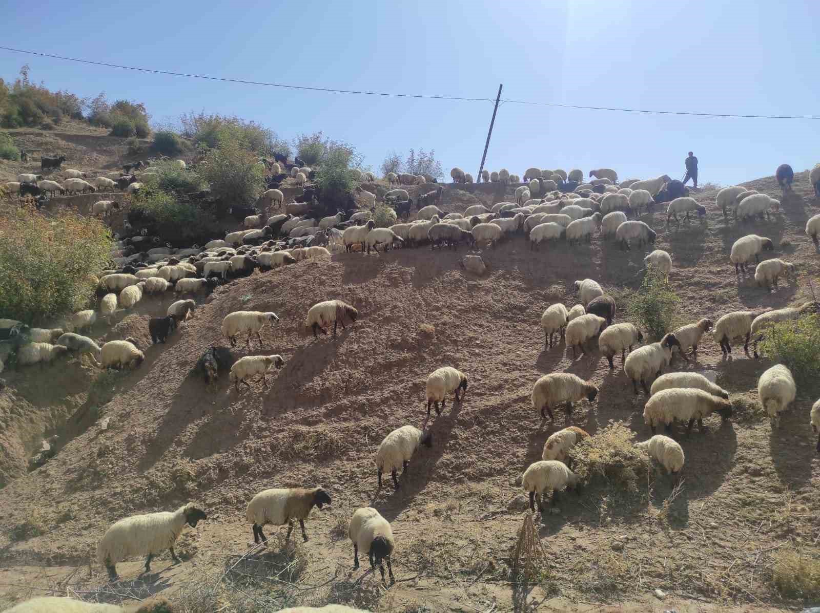 Yayla sezonunu kapatan g&ouml;&ccedil;erler, 2 ay s&uuml;ren yolculuğa başladı
