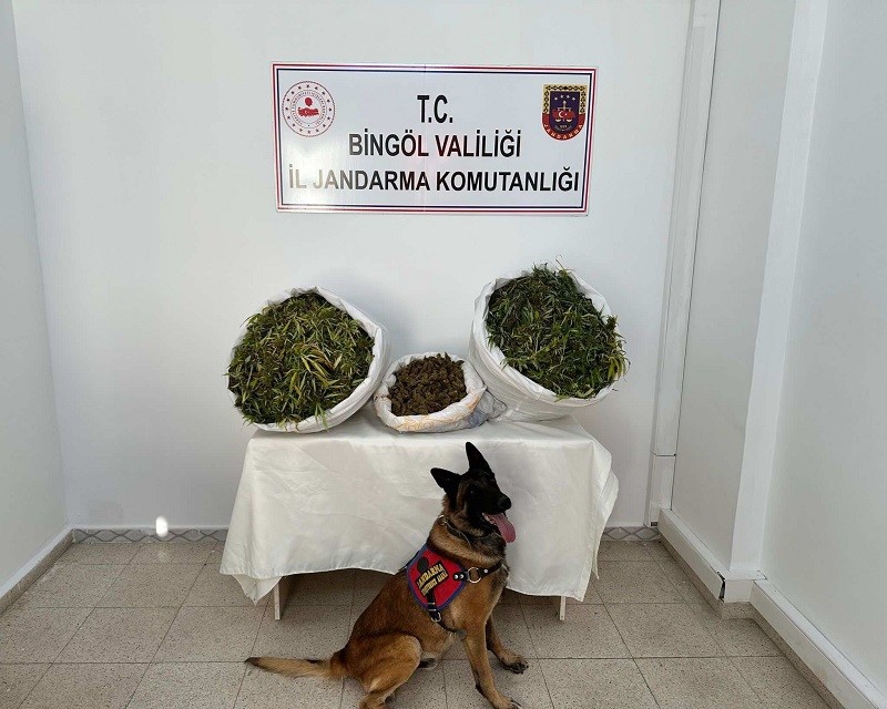 Bingöl’de 36 kilo uyuşturucu maddesi ele geçirildi