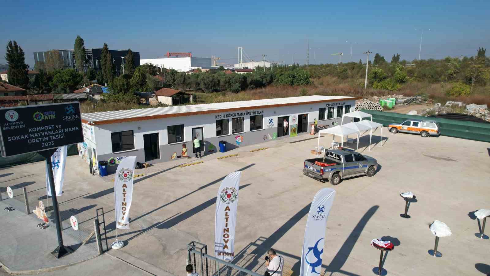 Yalova’da tersanelerdeki artık yemekler kedi ve köpekler için mama oluyor