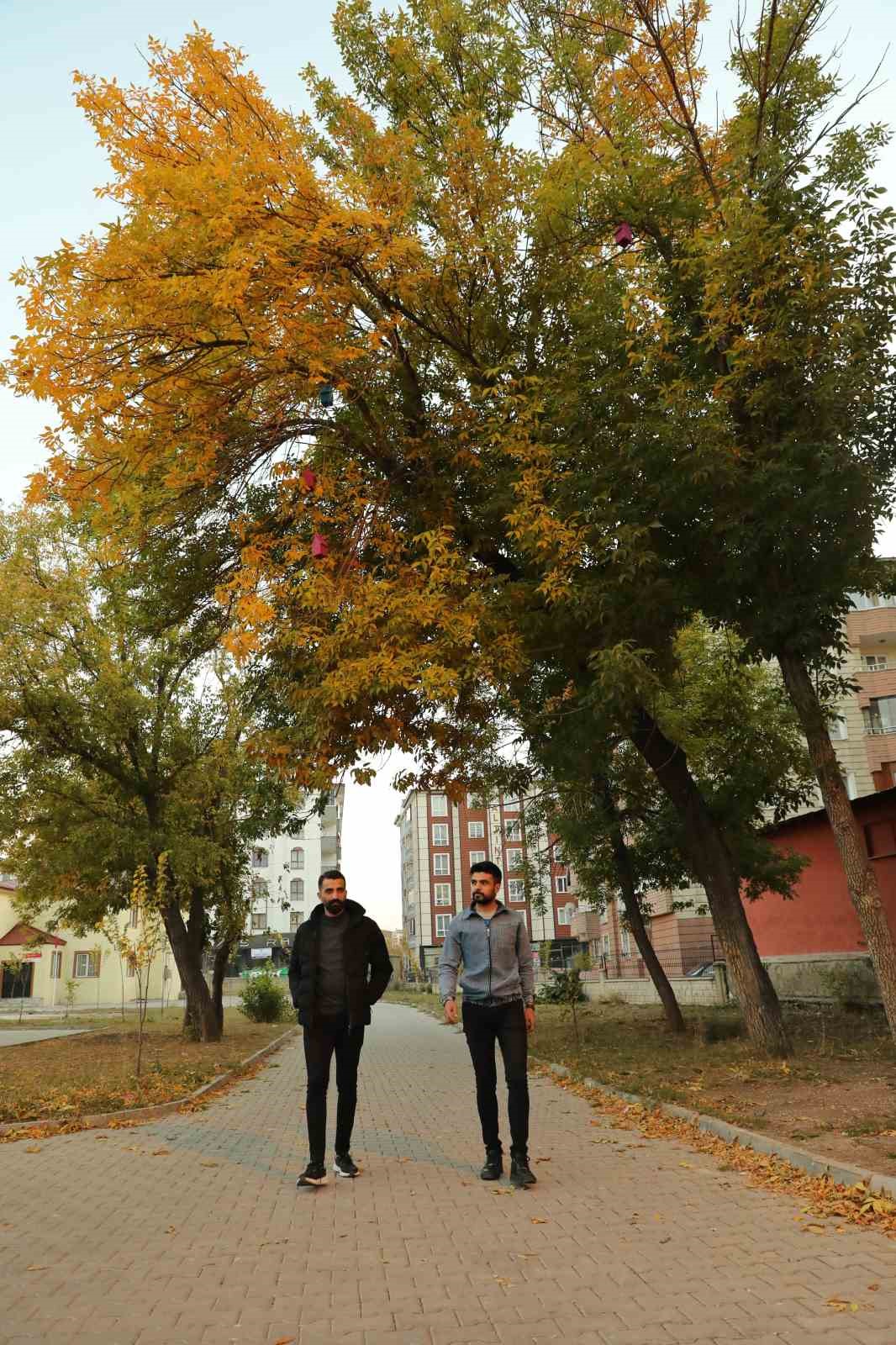 Ağrı&rsquo;da sonbahar g&uuml;zelliği hayran bırakıyor
