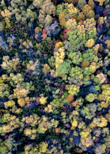 Posof, sonbaharda bir başka g&uuml;zel
