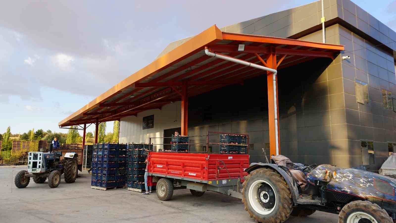 Burdur’un meyve bahçesi Yeşilköy’de elma hasadı başladı
