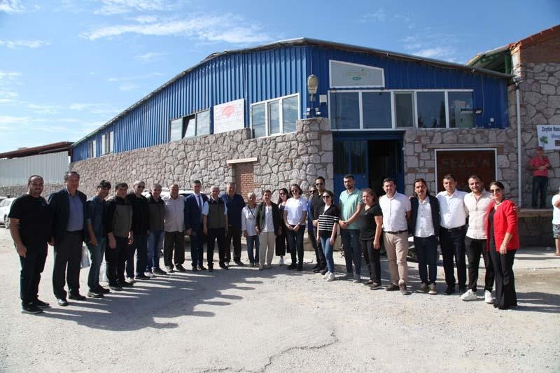 &Ccedil;anakkale&rsquo;de zeytin hasadı şenlikle başladı
