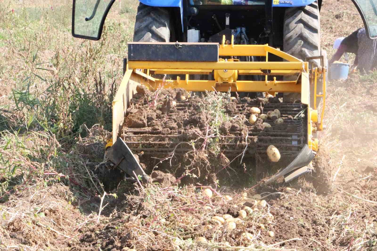 Sandıklı’da 40 bin dekar alanda ekim yapılan patateste hasadın sonuna yaklaşıldı 