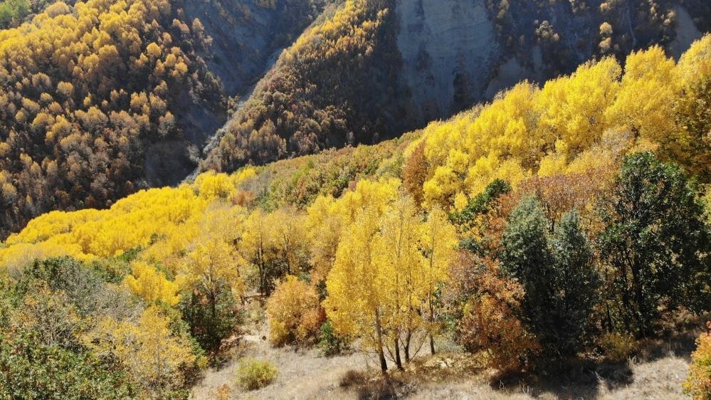 Erzincan&rsquo;da sonbaharda renk c&uuml;mb&uuml;ş&uuml;
