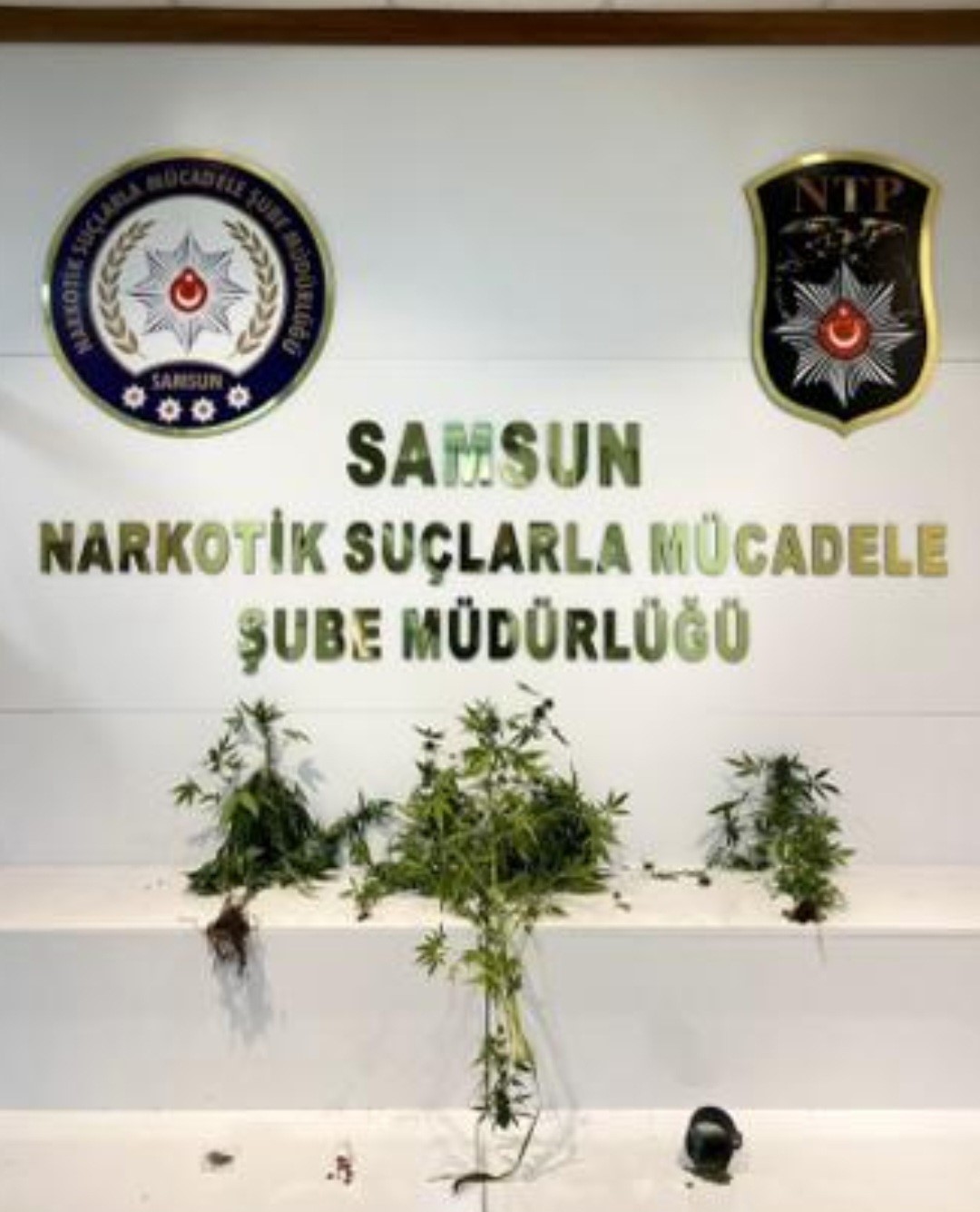 Samsun'da uyuşturucu uygulamasında 19 kişi yakalandı