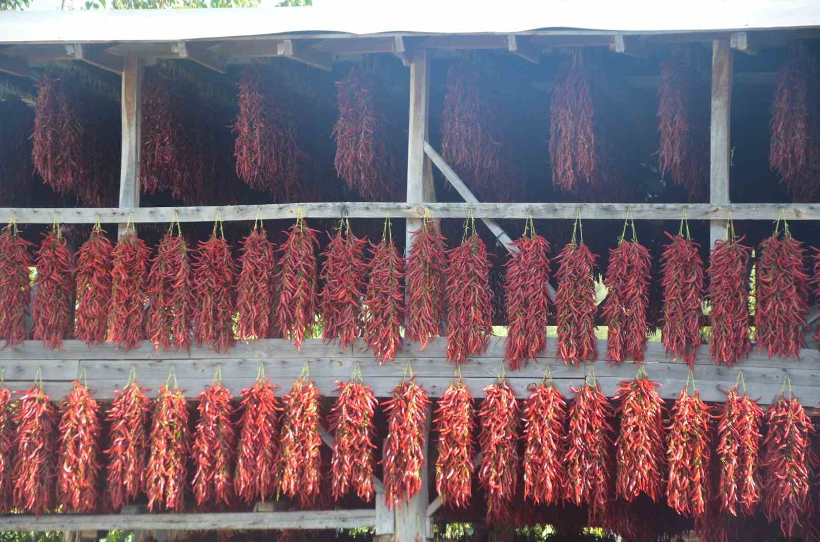 En İyi Şekilde Biber Közleme Tarifi