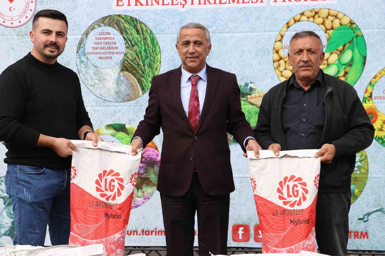 Ayçiçeğinin alternatifi olan kanola tohumu çiftçilere dağıtıldı