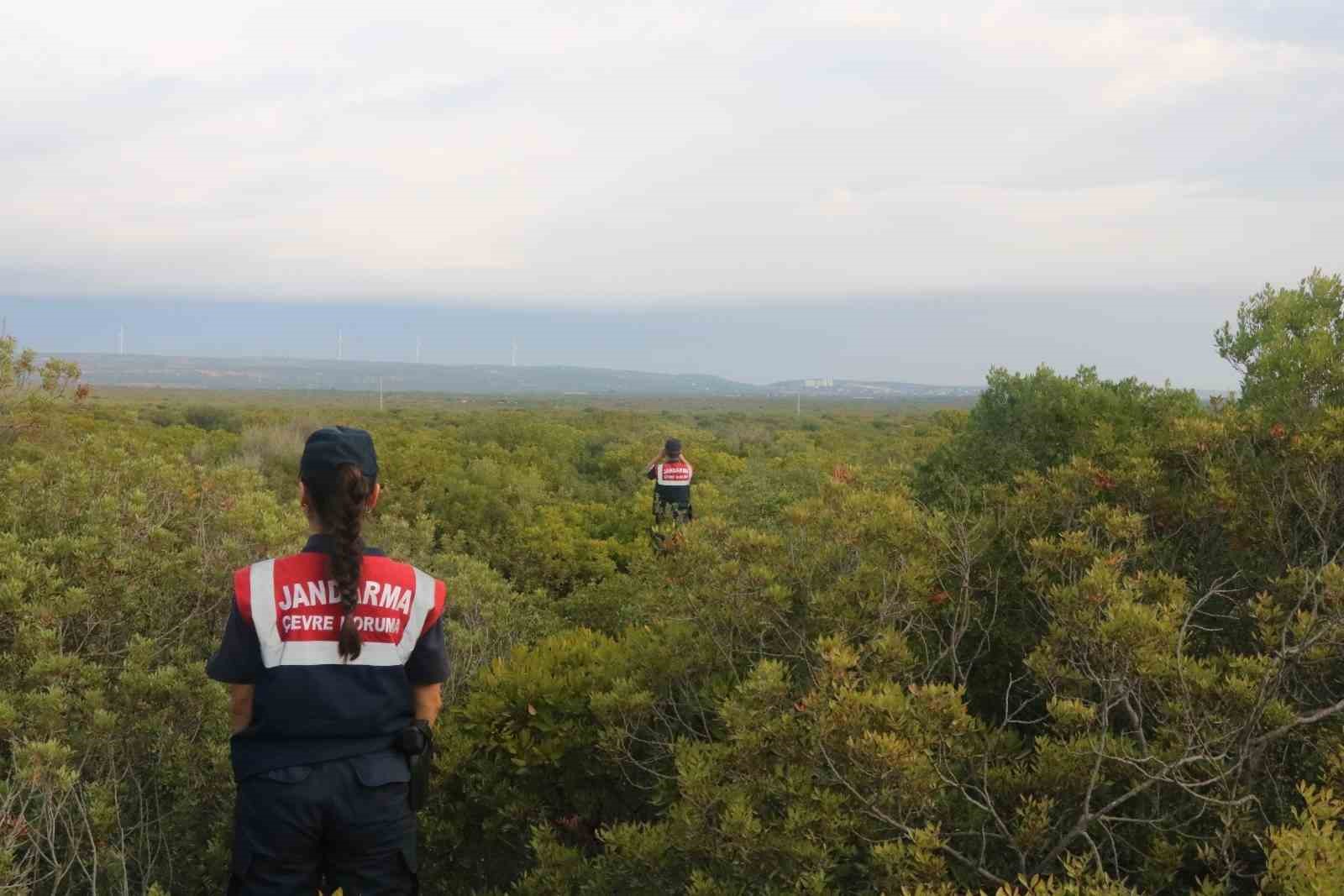 Jandarma ekipleri kaçak ava geçit vermiyor