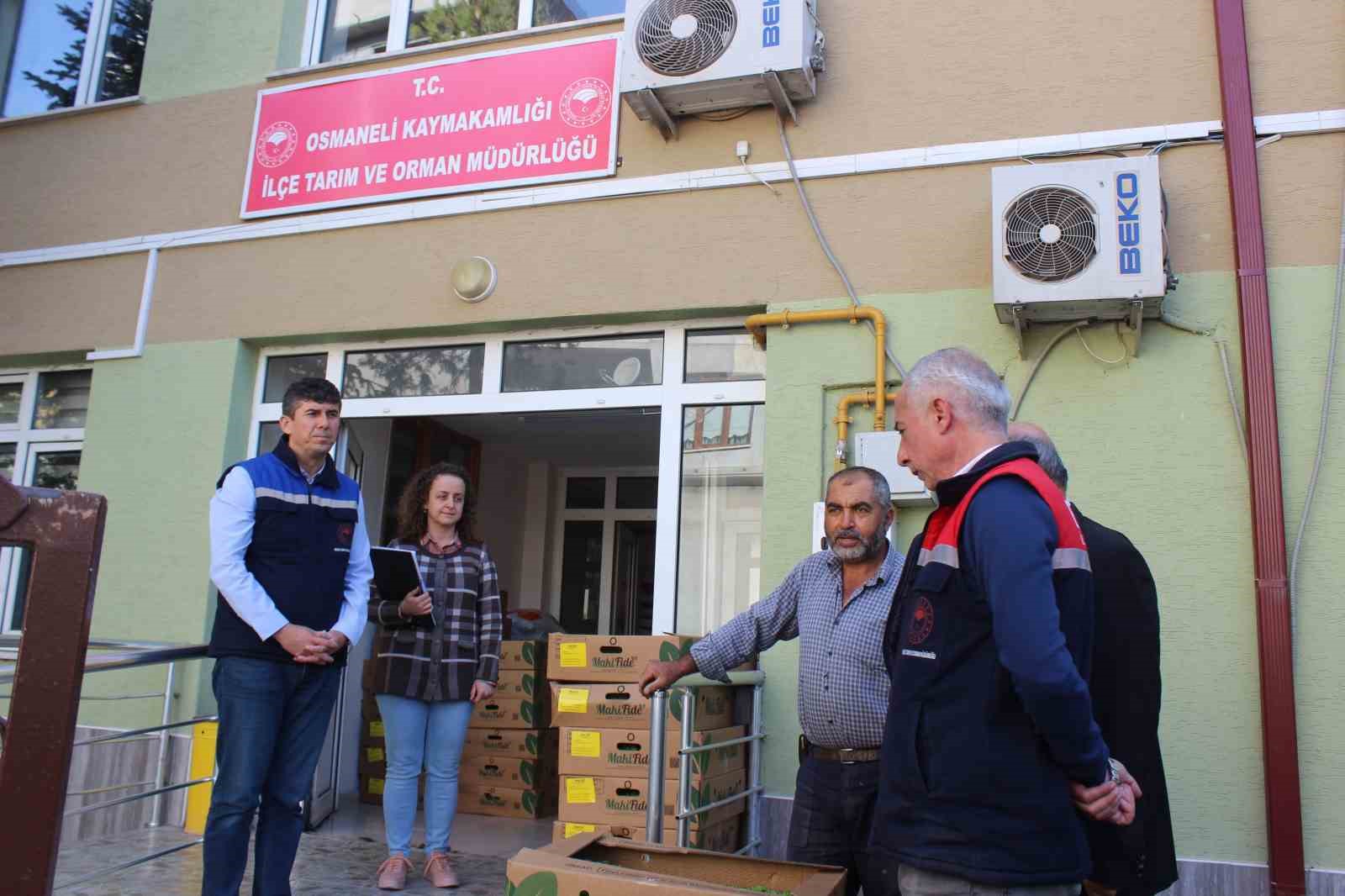 Osmaneli’nde 4 çiftçiye 10 bin 500 adet marul fidesi dağıtıldı