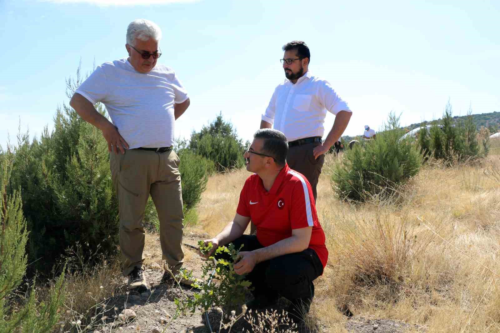 Kilosu 3 bin avro ve sadece zel eitimli kpekler bulabiliyor
