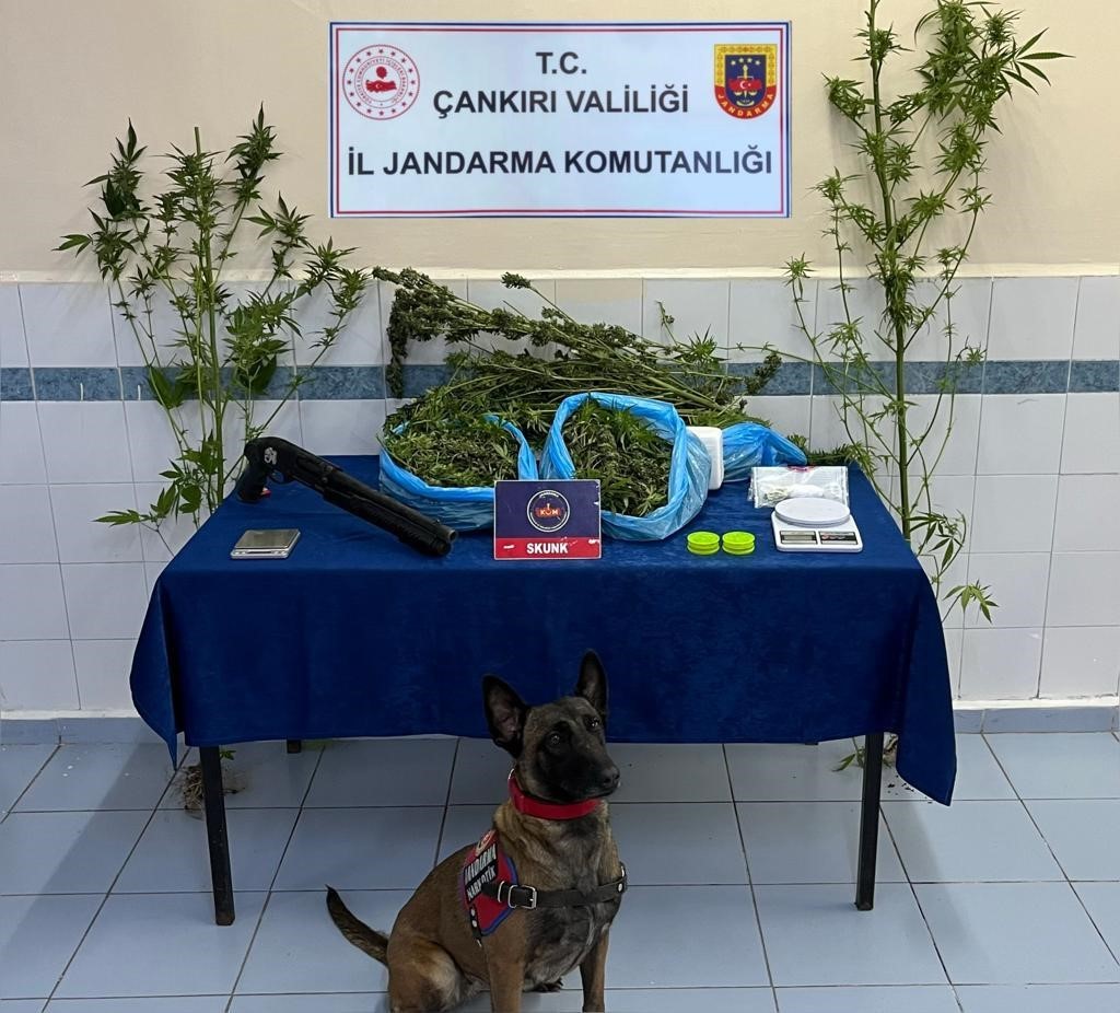 Çankırı’da polis ve jandarma ekiplerinden denetim