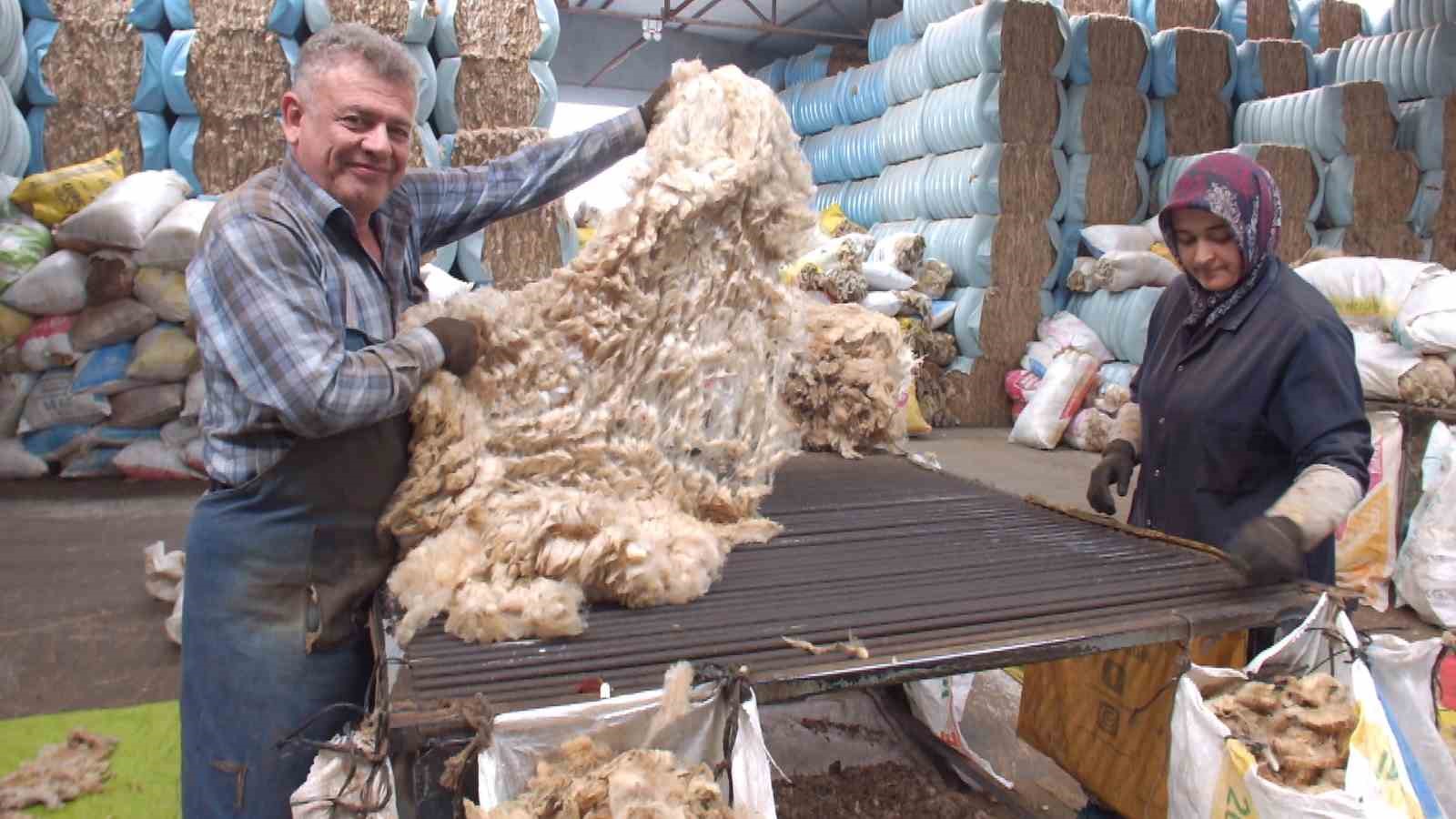 Balıkesir kuzusunun eti marka olurken, yünü de ülkeye döviz oldu
