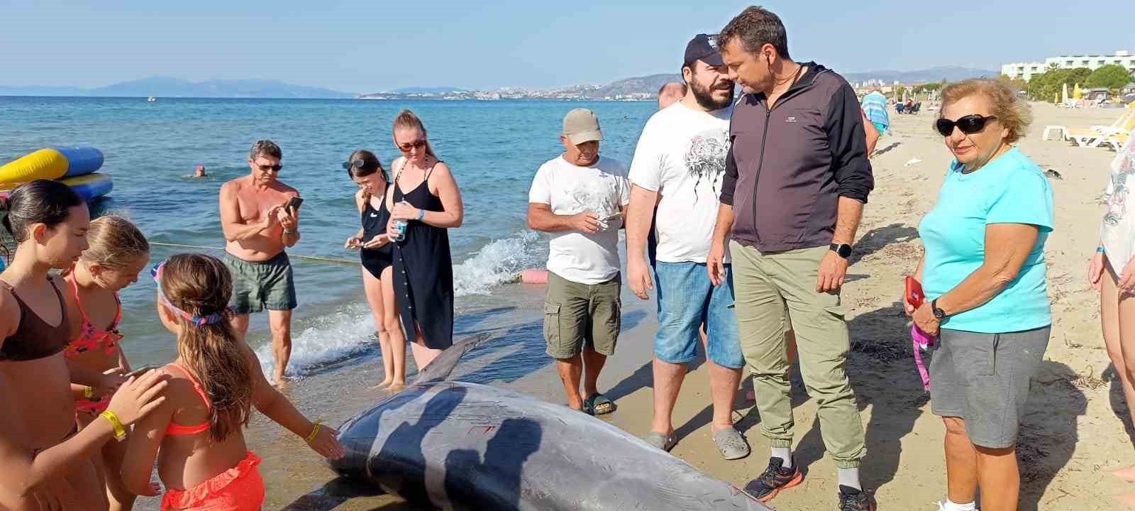 Kuşadası K&ouml;rfezi&rsquo;nde su y&uuml;zeyinde &rsquo;Afalina&rsquo; t&uuml;r&uuml; yunus bulundu
