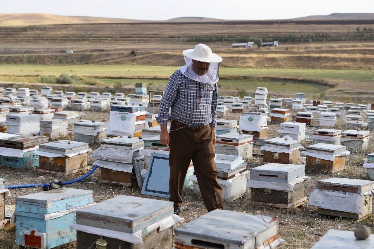 Kanser hastası oğlunu bal ile tedavi eden baba, arıcılığı meslek edindi
