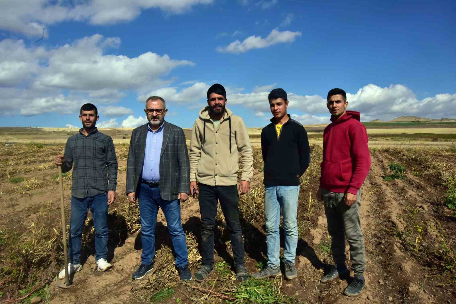 Şiddetli yağmur kuru fasulyeyi vurdu
