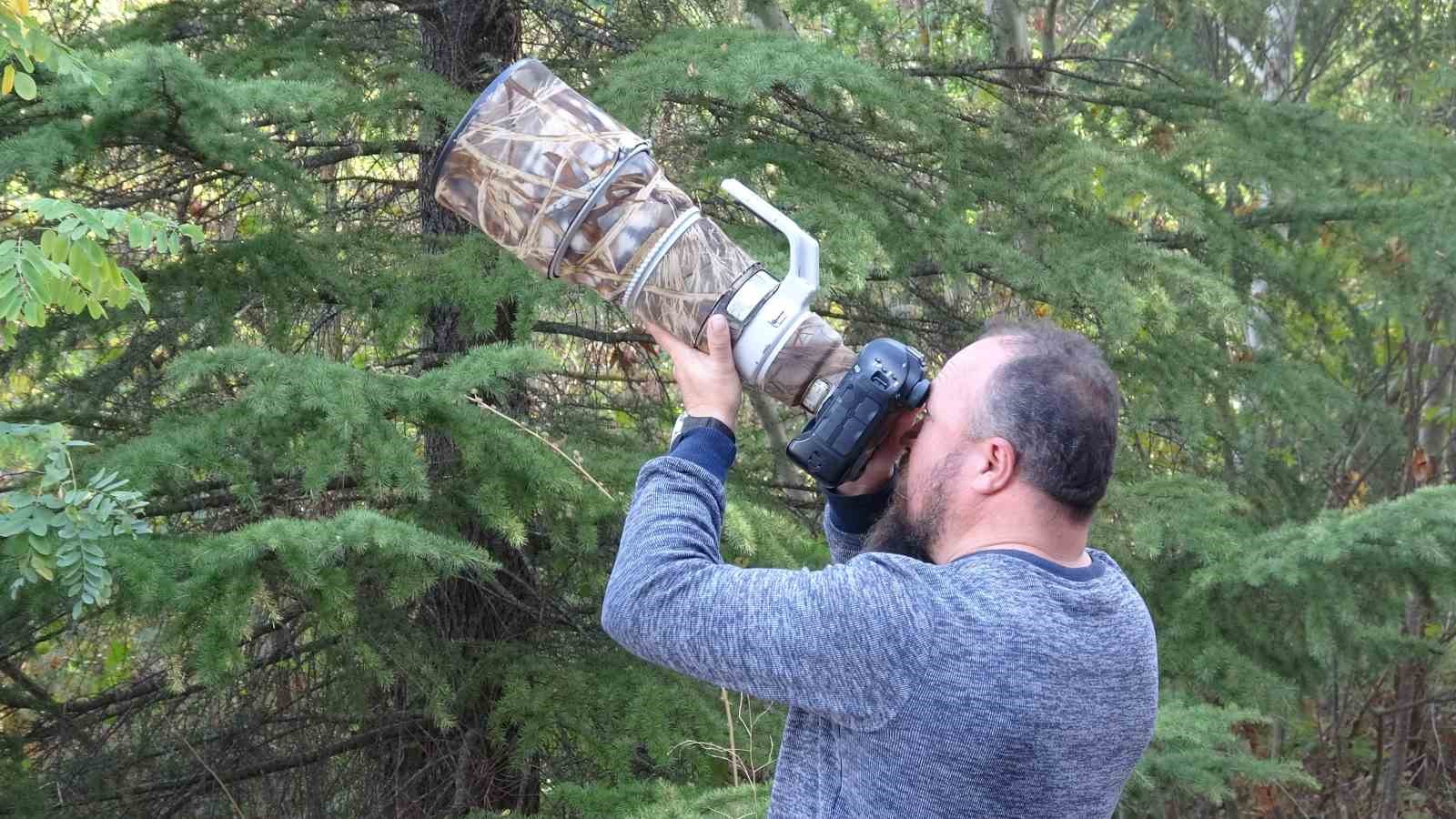 (&Ouml;zel) &Ccedil;anakkale&rsquo;de boz ayı g&ouml;r&uuml;nt&uuml;lendi

