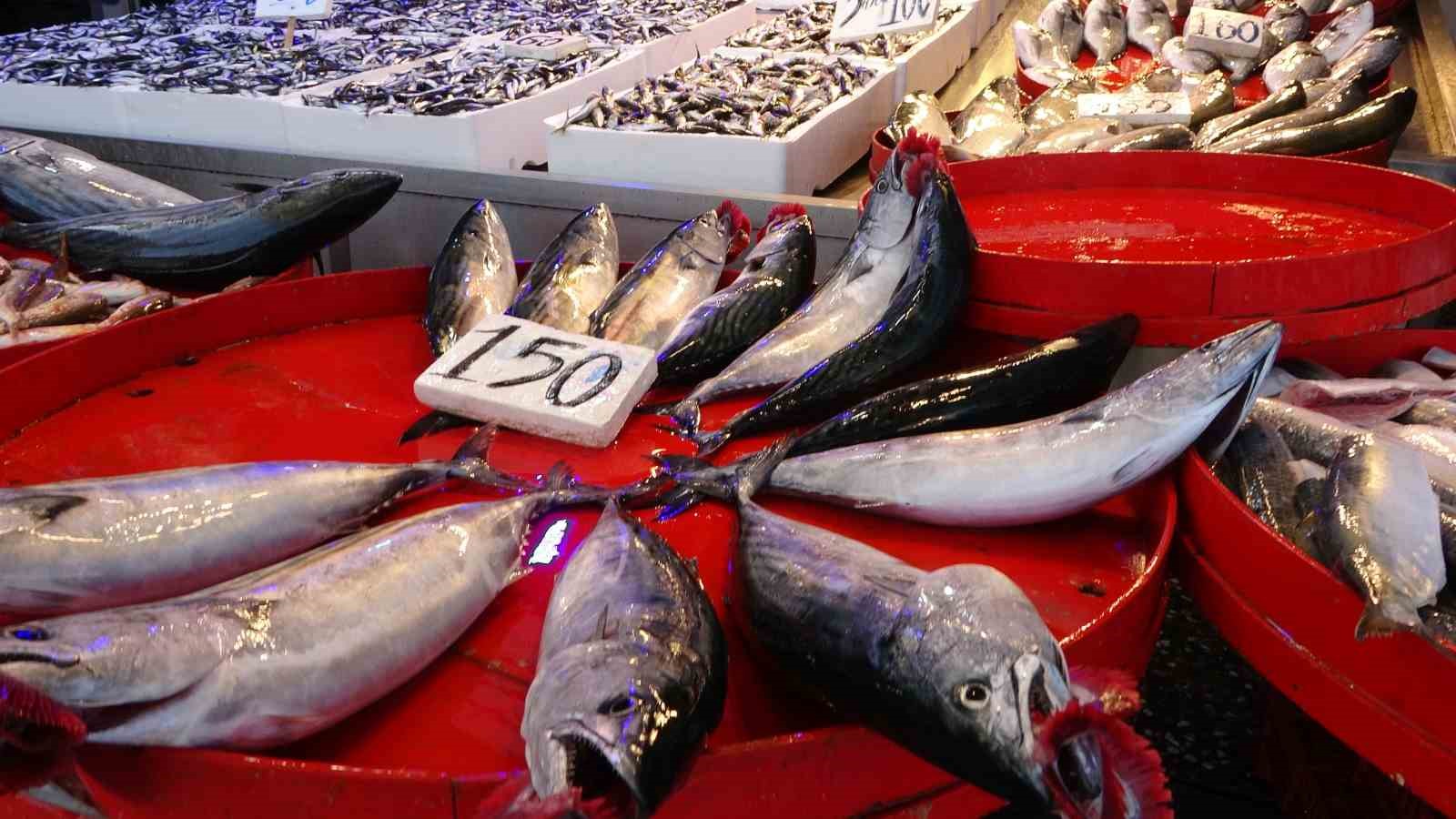 Hamsinin fiyatı inişli &ccedil;ıkışlı seyrediyor
