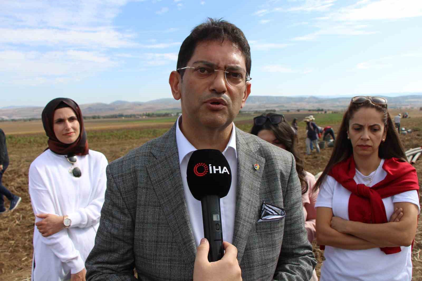 Avrupalı kadınların gözdesi mor patatesin üretimi Anadolu’ya yayılıyor
