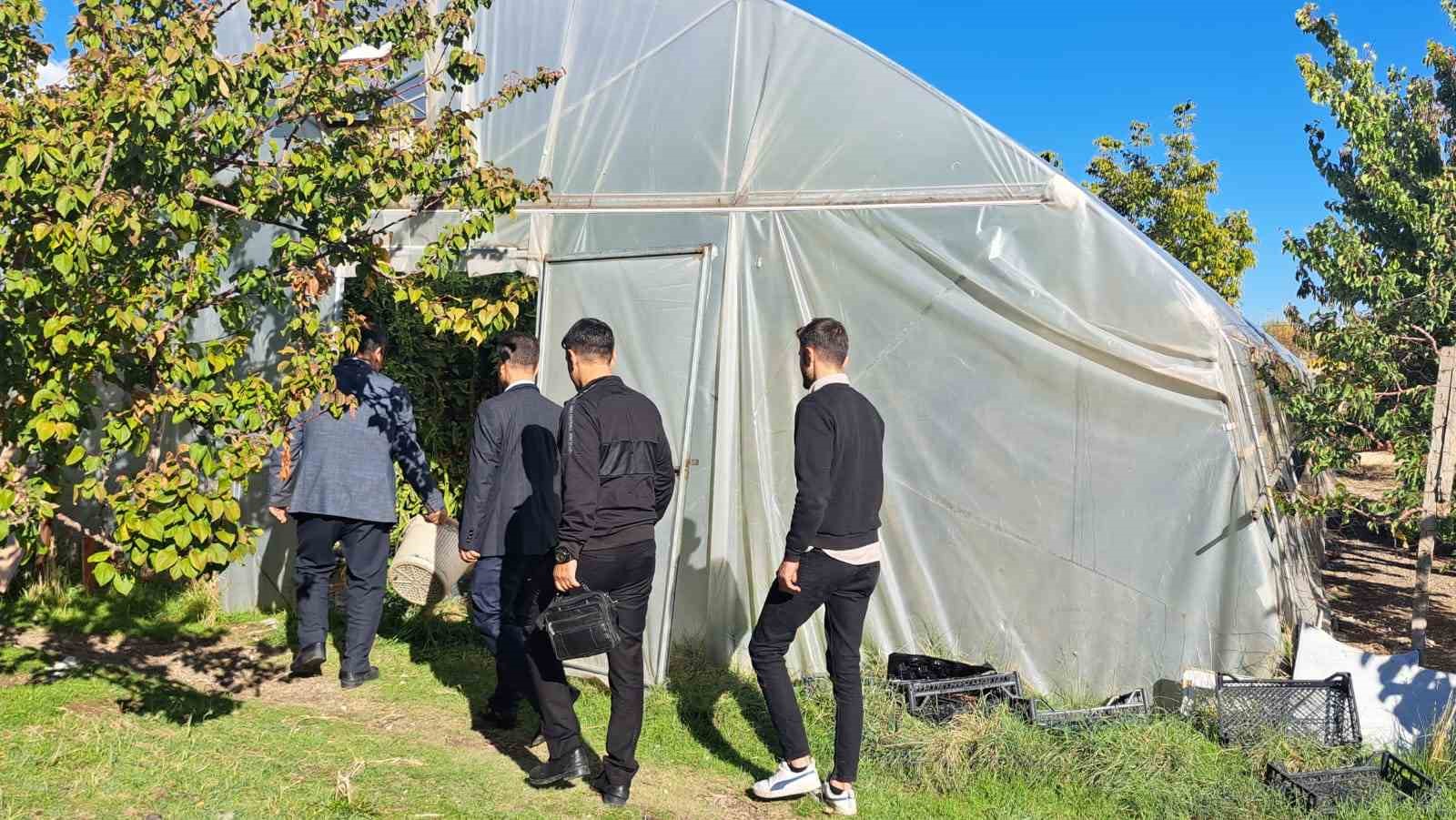 Adilcevaz&rsquo;daki seralarda domates &uuml;retimi devam ediyor
