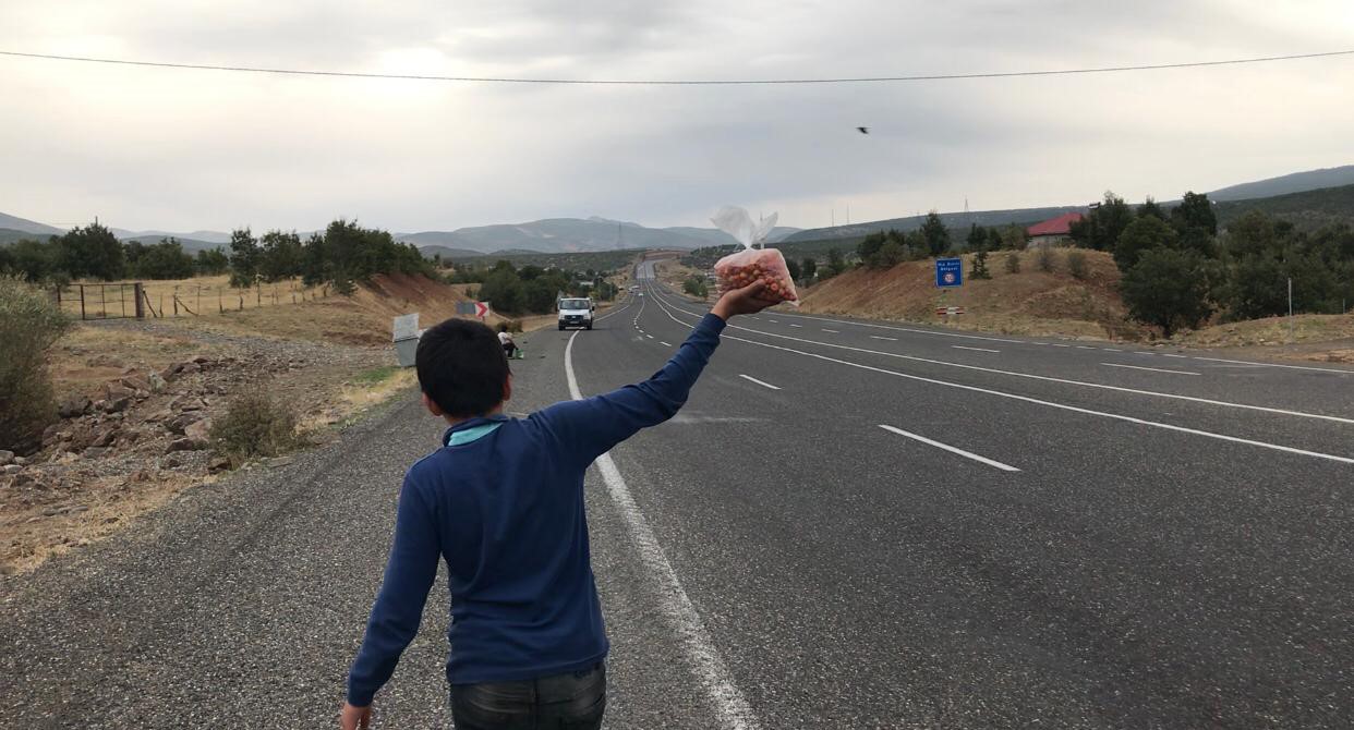 Okul harçlıklarını çıkarmak için yol kenarında ‘alıç’ satıyorlar