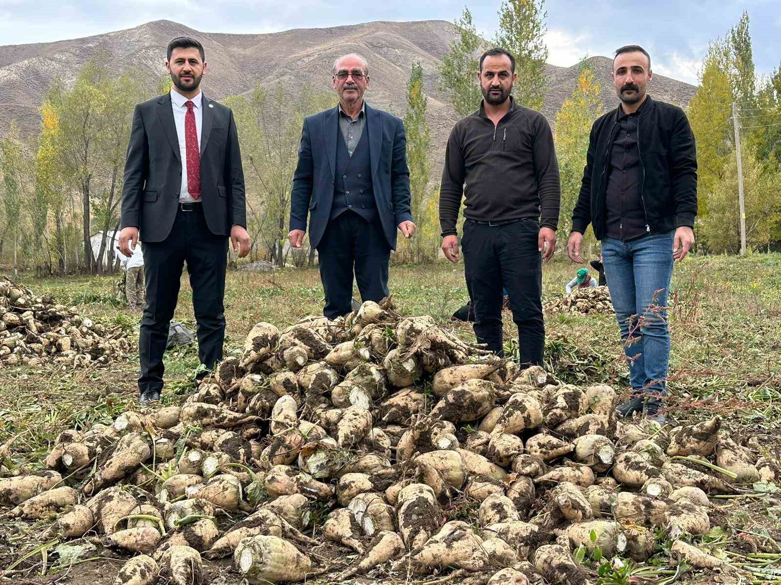 Yüksekova’da 30 yıl aradan sonra şeker pancarı hasadı yapıldı