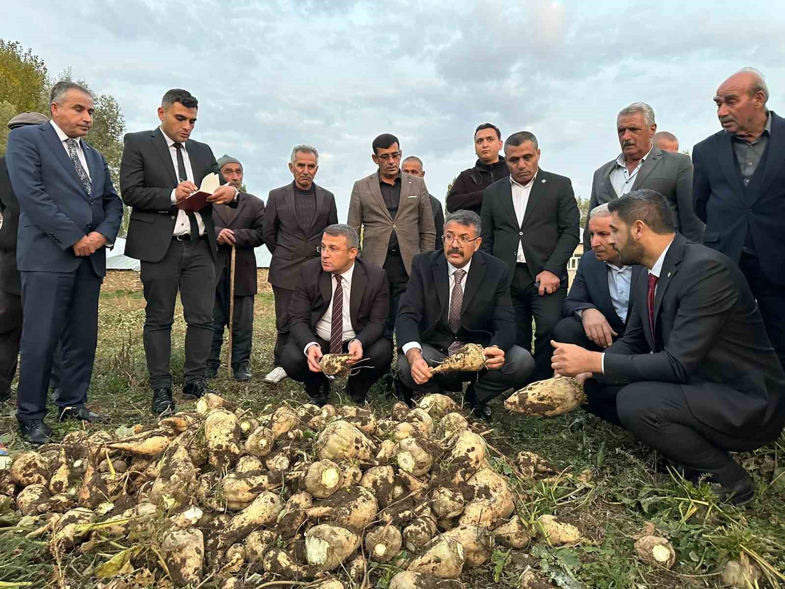 Y&uuml;ksekova&rsquo;da 30 yıl aradan sonra şeker pancarı hasadı yapıldı
