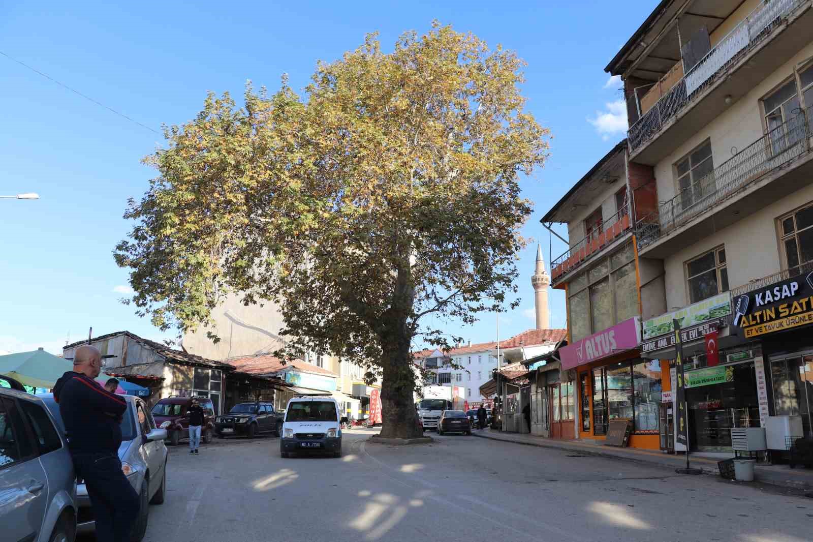 Ge&ccedil;mişte darağacı olarak kullanıldı, g&uuml;n&uuml;m&uuml;zde il&ccedil;enin simgesi oldu
