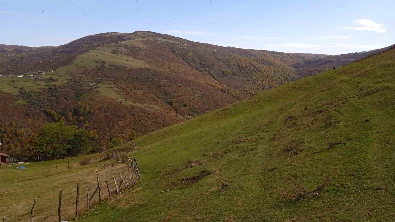 Ordu&rsquo;nun yaylalarında sonbahar g&uuml;zelliği
