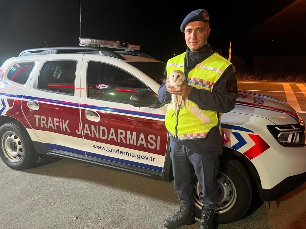 Yaralı baykuşa jandarma şefkati
